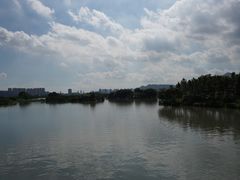 -三垟湿地