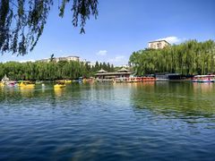 -团结湖公园