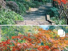 -大金鹰园