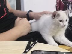 -贝利宠物医院·骨科·眼科·肿瘤转诊中心(南坪诊疗中心)