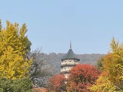 -灵谷景区
