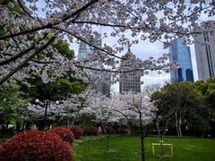 -陆家嘴中心绿地