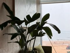 -青岛朗艺美术馆·海景咖啡