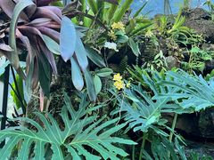 -东莞植物园