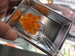 -香港会议展览中心演讲厅