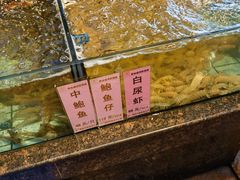 -新金盛·海鲜酒楼(盐田店)