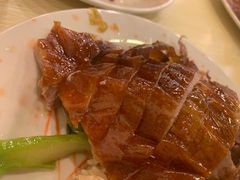 烧鹅饭-鹅最好(南光店)