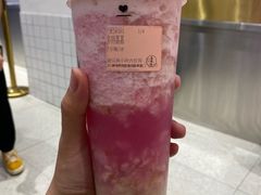 多肉荔荔-果呀呀(国金街店)