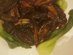 葱烧海参-大鸭梨(天通西苑店)
