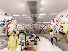 -绿壁虎攀岩基地(Tcar店)