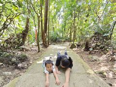 -七仙岭温泉国家森林公园