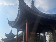 -苏州太湖湖滨国家湿地公园