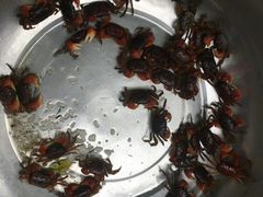 -黄埔古港