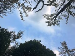 -上海佘山国家森林公园天马山园