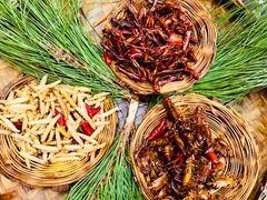 -昆虫窝子·特色云南菜(拓东路总店)
