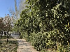 -丰台花园