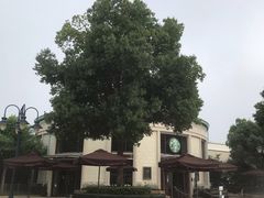 -星巴克(迪士尼小镇店)