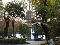 -红梅公园