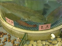 -东方御宴海鲜酒楼(棕泉酒店)