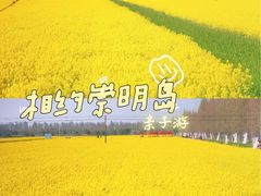 -东平国家森林公园