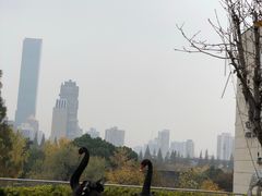 -行者书屋大堂吧 ·下午茶(南京圣和府邸酒店)