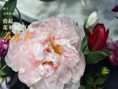 -循礼门鲜花花市(武汉循礼门店)