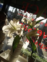 点击看大图 -Every Day Hair Studio