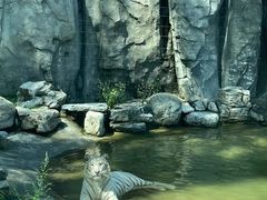 -北京野生动物园