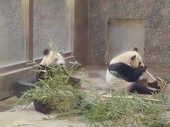 -西安秦岭野生动物园