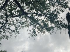 -云龙山