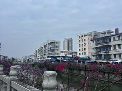 -巫记鸡饭店