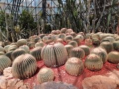 -昆明市金殿名胜区