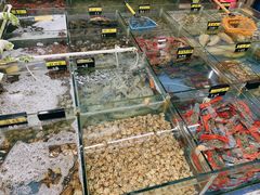 -明记海鲜大排档(巽寮湾店)