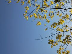 -盈香心动乐园