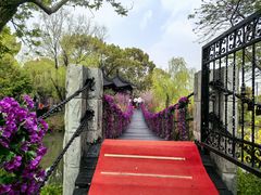 -南汇桃花村