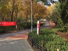 -大兴滨河森林公园