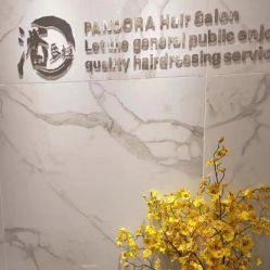 -潘多拉Hairsalon