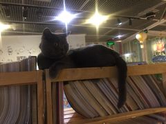 大堂-小时光咖啡馆(开森度假森林店)