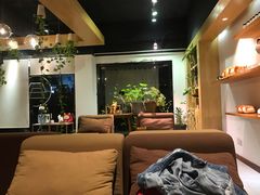 -柴务处·柴犬主题狗咖