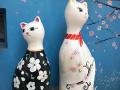 -猫咪博物馆(顶澳仔猫街店)