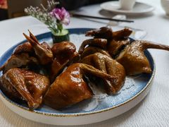 红烧乳鸽-光明招待所(邦凯科技园店)