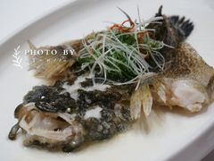 -茗鼎汇(星方汇广场店)