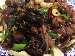 -向民炒鸡老店(火车站店)