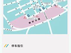 -顾村公园