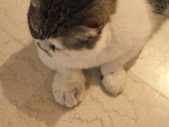 -康成宠物医院24H·CT·核磁共振