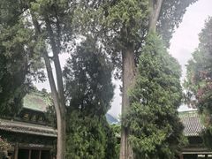 -报恩寺(平武县)