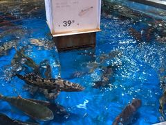 -盒马鲜生(悦峰店)