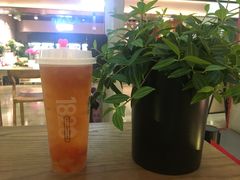 -1828王老吉·草本新茶(珠江新城地铁站店)
