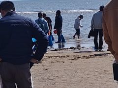 -老虎石海上公园