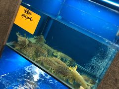 水产区-宁波状元楼酒店(和义路店)